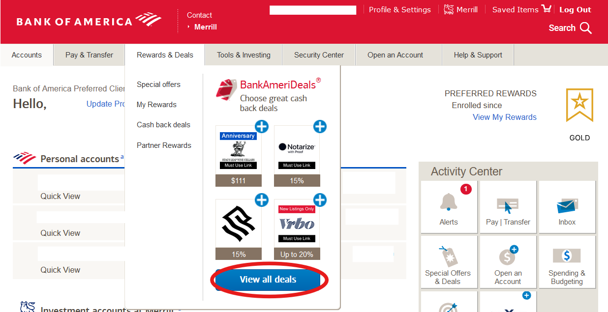 Screenshot from the BoA homepage view all details option